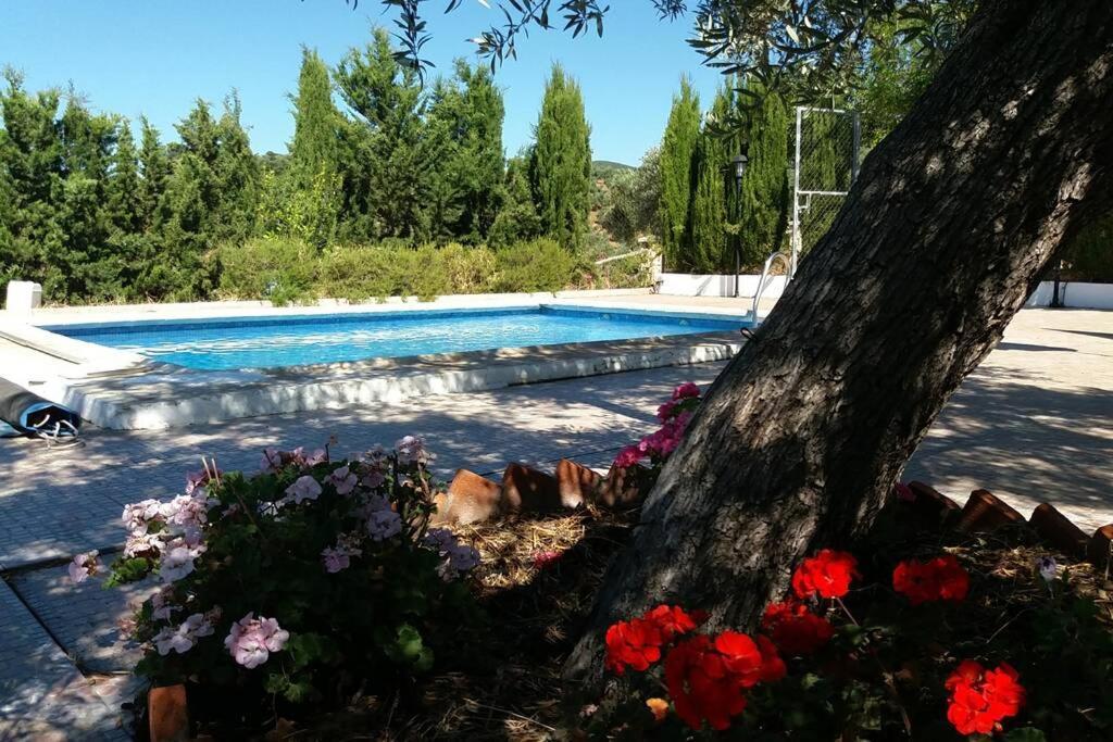 Cortijo "Era Grande 2" Βίλα Κόρδοβα Εξωτερικό φωτογραφία