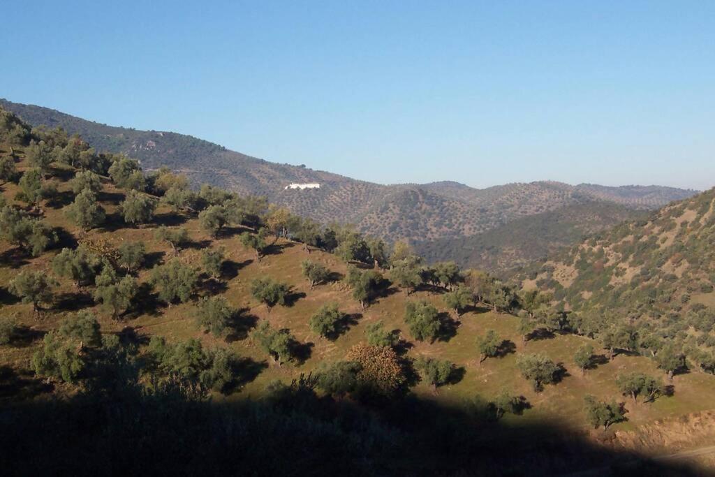 Cortijo "Era Grande 2" Βίλα Κόρδοβα Εξωτερικό φωτογραφία