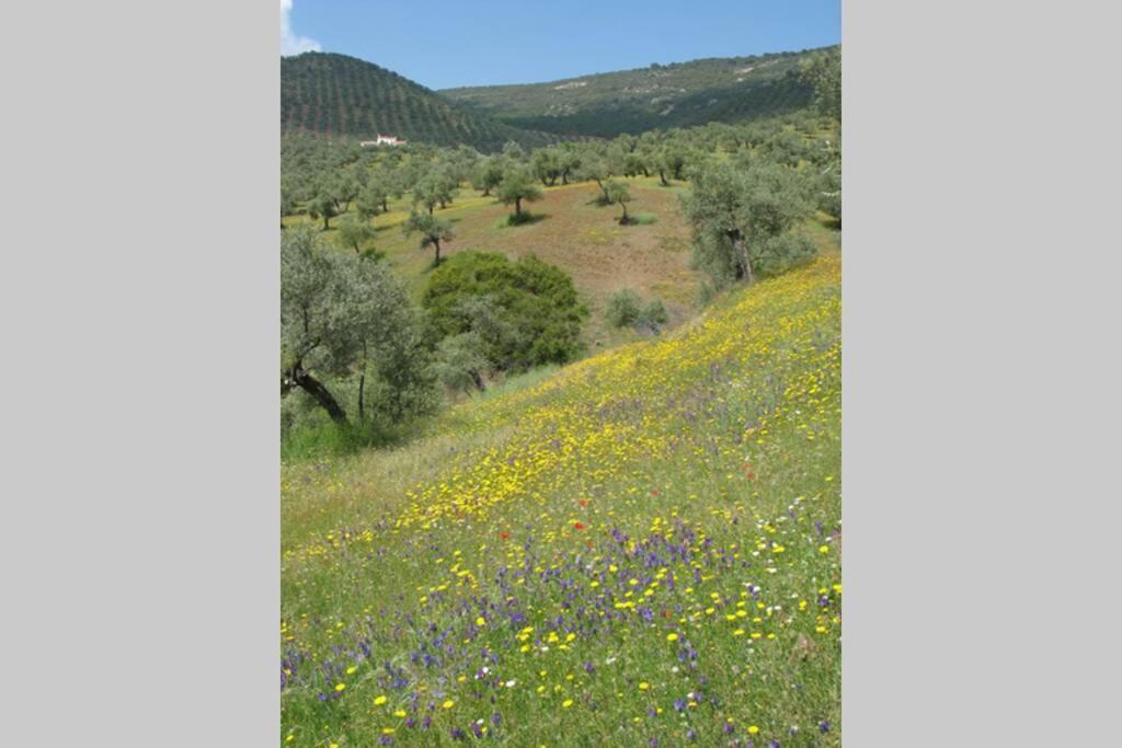 Cortijo "Era Grande 2" Βίλα Κόρδοβα Εξωτερικό φωτογραφία