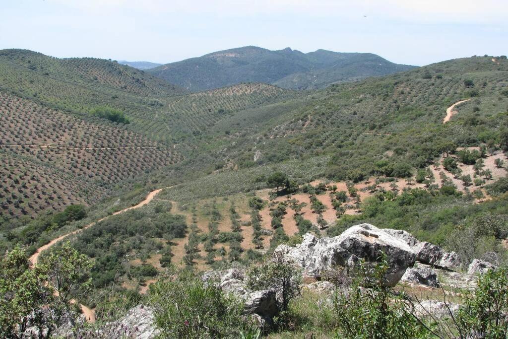 Cortijo "Era Grande 2" Βίλα Κόρδοβα Εξωτερικό φωτογραφία