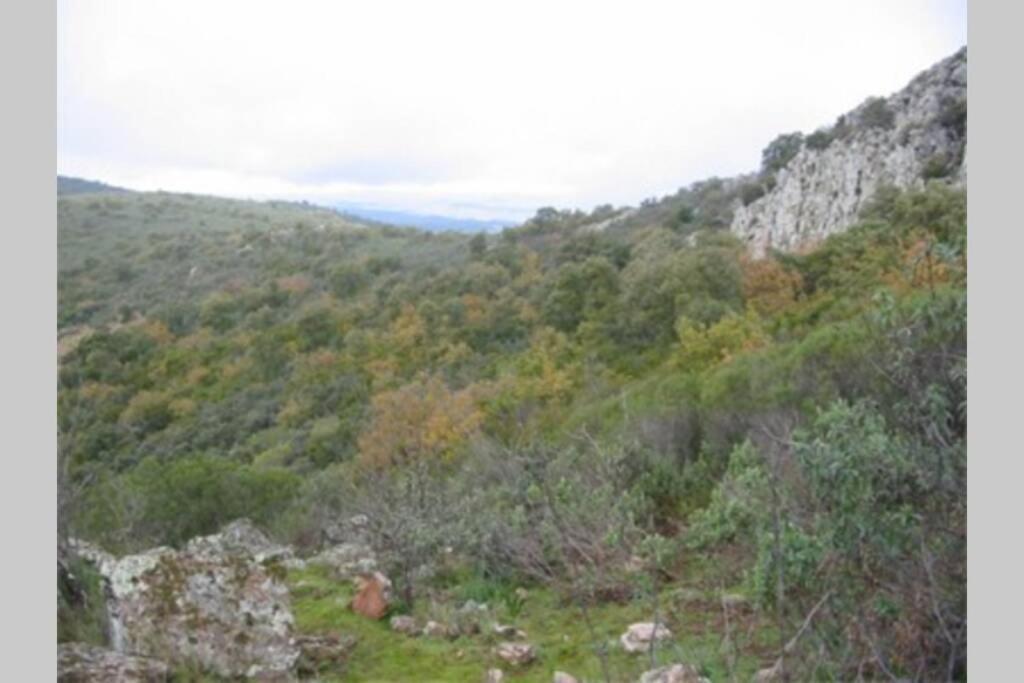 Cortijo "Era Grande 2" Βίλα Κόρδοβα Εξωτερικό φωτογραφία
