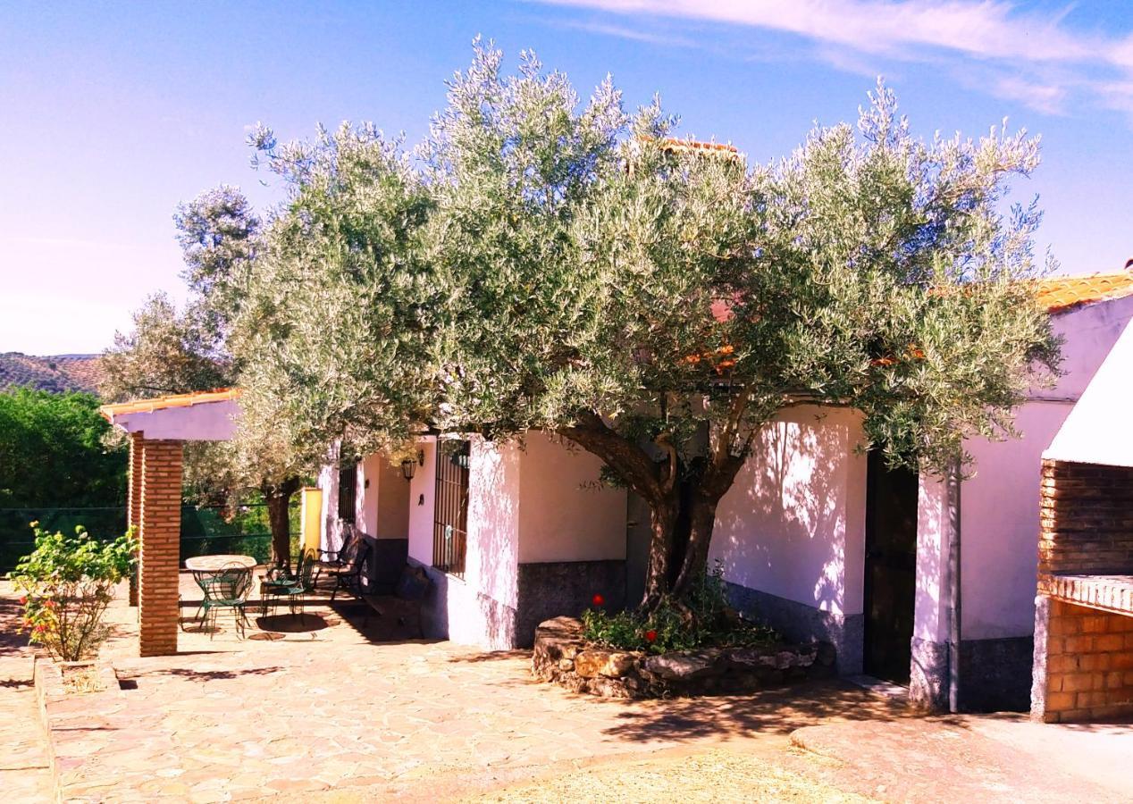 Cortijo "Era Grande 2" Βίλα Κόρδοβα Εξωτερικό φωτογραφία