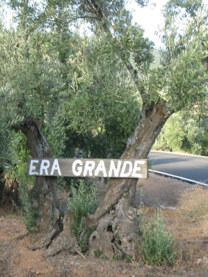 Cortijo "Era Grande 2" Βίλα Κόρδοβα Εξωτερικό φωτογραφία