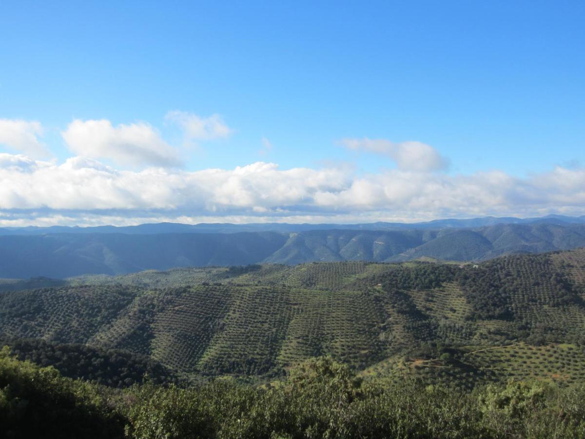 Cortijo "Era Grande 2" Βίλα Κόρδοβα Εξωτερικό φωτογραφία