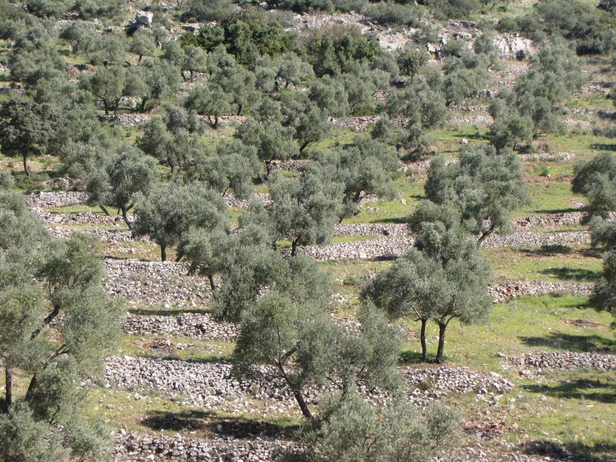 Cortijo "Era Grande 2" Βίλα Κόρδοβα Εξωτερικό φωτογραφία