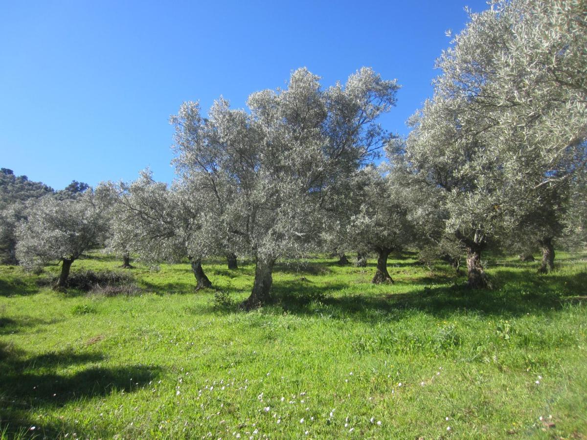 Cortijo "Era Grande 2" Βίλα Κόρδοβα Εξωτερικό φωτογραφία