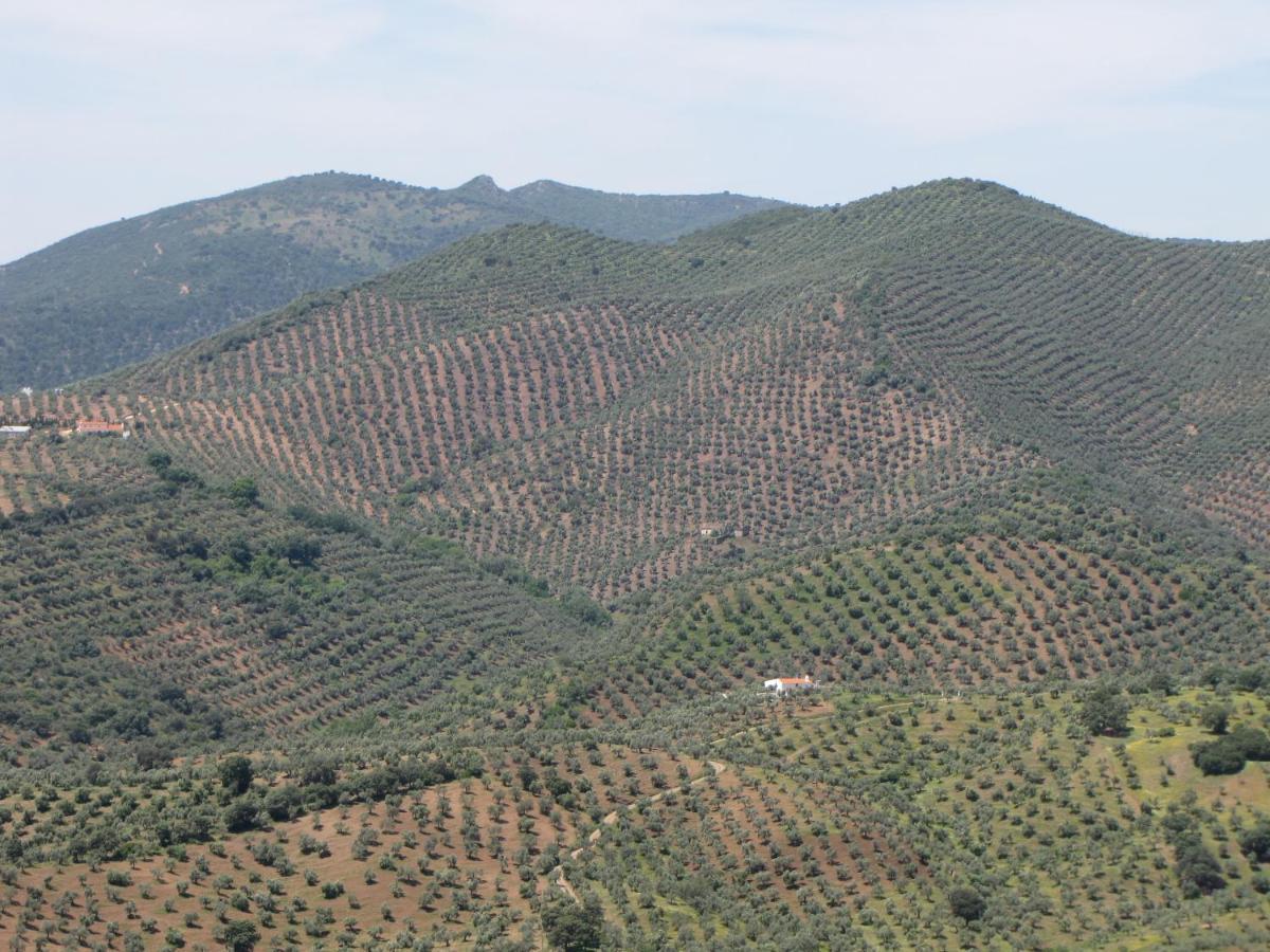 Cortijo "Era Grande 2" Βίλα Κόρδοβα Εξωτερικό φωτογραφία