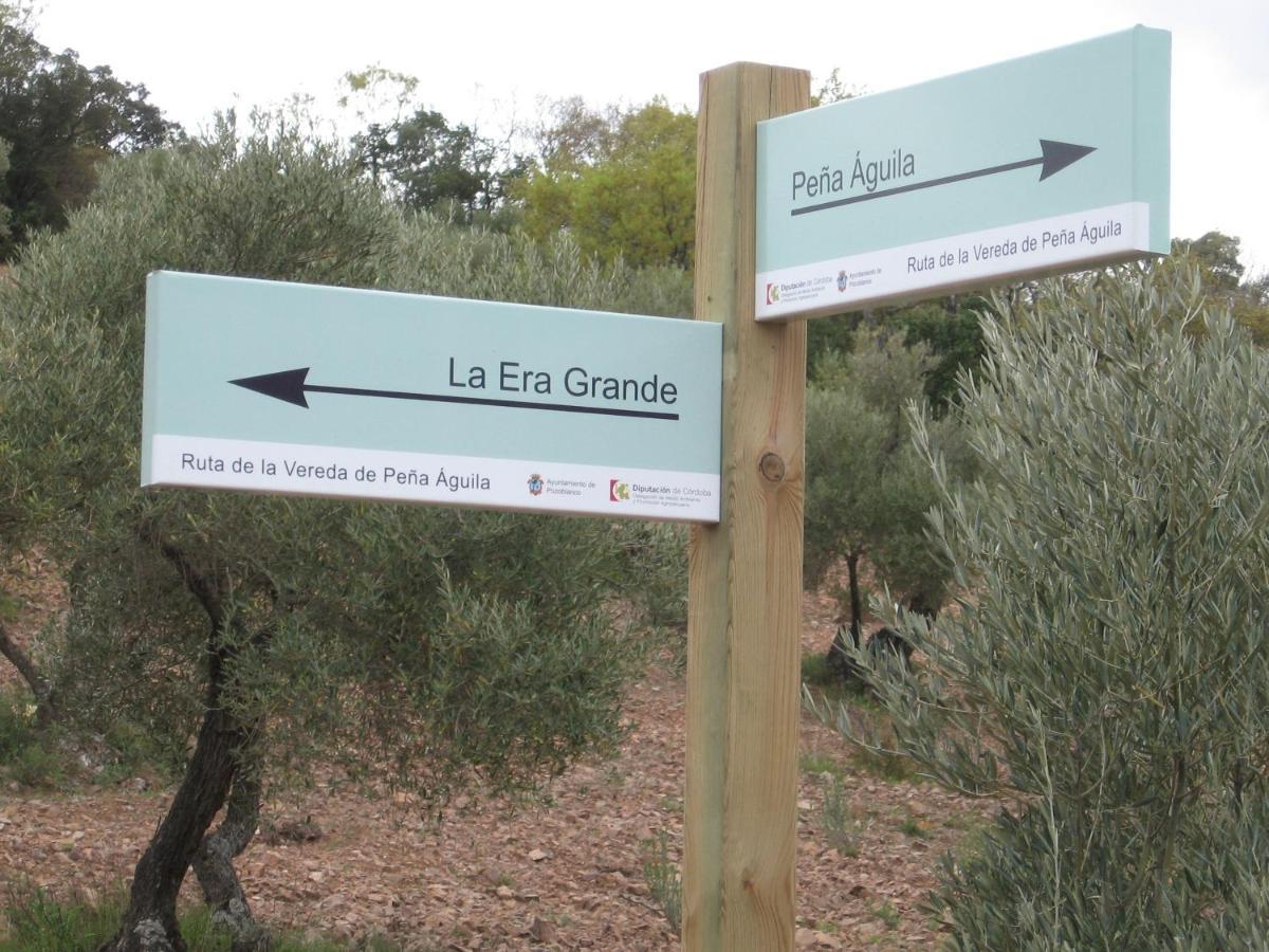 Cortijo "Era Grande 2" Βίλα Κόρδοβα Εξωτερικό φωτογραφία